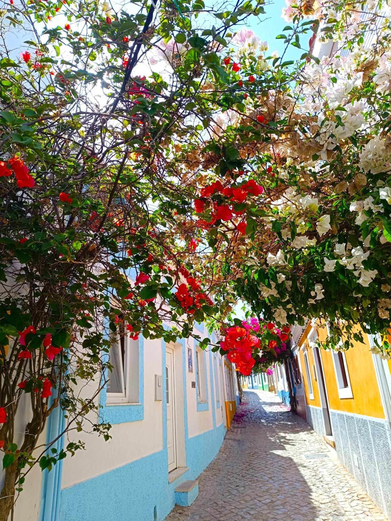 Wonderful Apartment In Ferragudo 2Double Beds Near Beaches And Golf Dış mekan fotoğraf